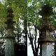 嘉興安國寺天氣