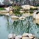 寶山吳淞口炮臺(tái)灣濕地森林公園天氣