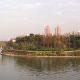 上海大寧靈石公園天氣