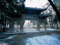 曲阜孔林天氣