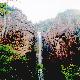 濰坊臨朐沂山天氣