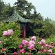 濟南植物園天氣