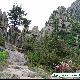 青島膠州艾山天氣