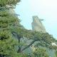 泰山北麓天氣