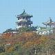 青島小魚山公園天氣