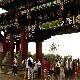 濟南百里黃河天氣