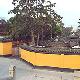 蘇州寒山寺天氣
