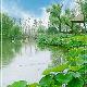 昆山丹桂苑天氣