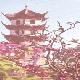 太倉西塔天氣