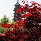 常熟方塔園天氣
