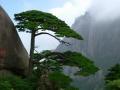 黃山市黃山風(fēng)景區(qū)天氣