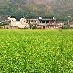 宣城石堪頭古村落天氣
