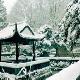 滁州清流瑞雪天氣
