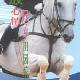 北京東方騎士休閑娛樂中心天氣