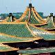 北京清真女寺天氣