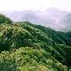 焦作王屋山風景區天氣