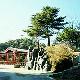 三門峽甘山森林公園天氣