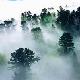 信陽新縣連康山保護區天氣