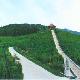 信陽新縣江淮嶺生態園天氣