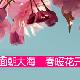 安陽綠色莊園天氣