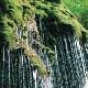 永濟王官峪風景區天氣
