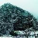 長治市古脊椎動物群化石遺址天氣