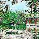 越秀公園天氣