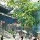 廣州華林禪寺天氣