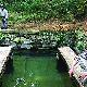 廣州水西村天氣