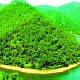 高明凌云山天氣