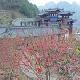 清新桃源生態(tài)旅游區(qū)天氣