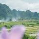 陽江合水鎮(zhèn)平北村天氣