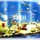 北海水族館天氣