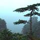 來賓蓮花山天氣