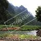 河池同樂鎮(zhèn)生態(tài)新村天氣