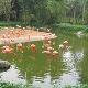 萬寧興隆熱帶海洋動物園天氣