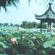 武漢東湖天氣