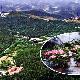 十堰市四方山植物園天氣