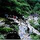 江夏青龍山森林公園天氣