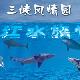 宜昌長江水族世界天氣