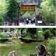 宜昌長陽五爪觀天氣