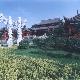 岳陽君山天氣