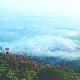 益陽安化紅巖天氣