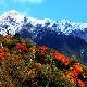 雅安東拉山大峽谷天氣