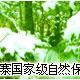 雅安蜂桶寨天氣
