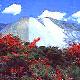 攀枝花蘭家火山天氣