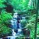 瀘州三華山天氣