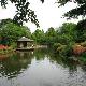 雅安張家山公園天氣