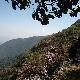 涼山龍肘山天氣