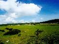 武隆仙女山國家森林公園天氣